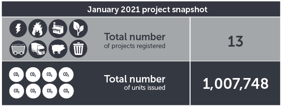 January 2021 project snapshot