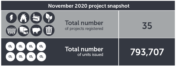 November 2020 project snapshot