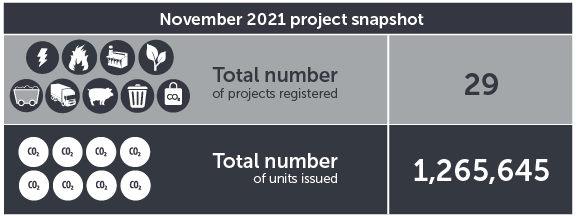 November 2021 project snapshot