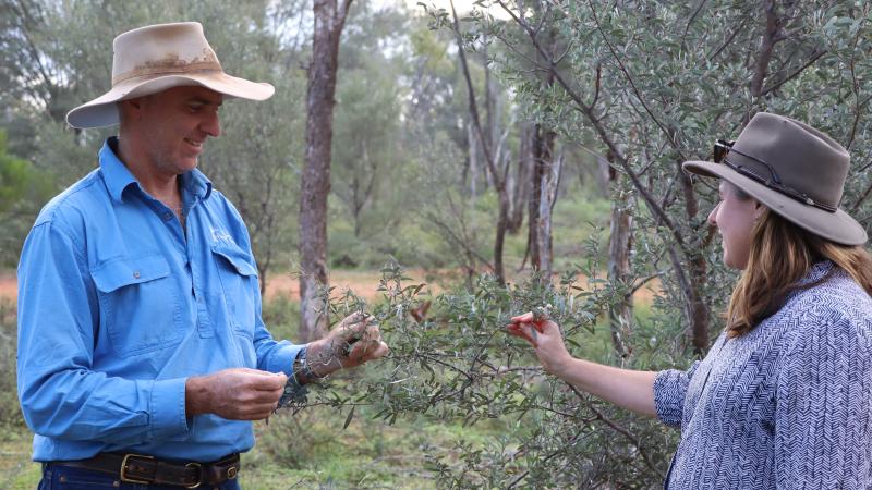 Two people standing in front of Australian native foliage