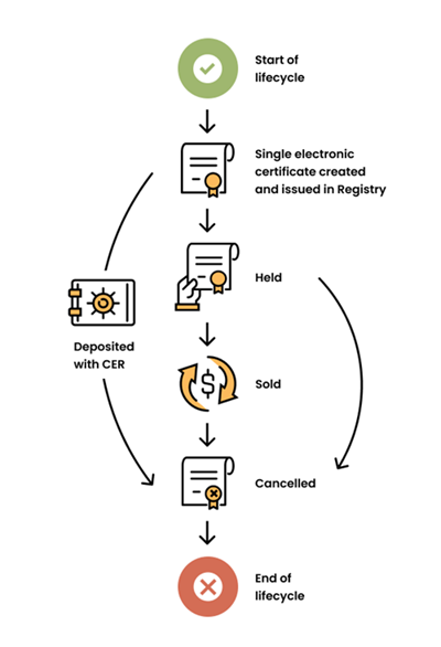 An image of the biodiversity certificate lifecycle