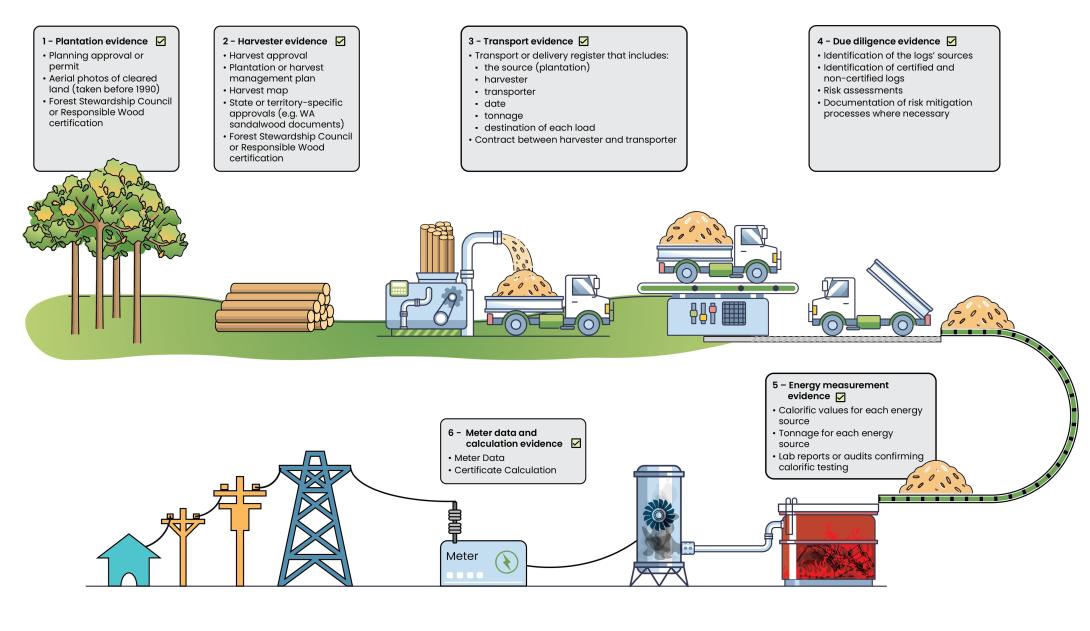 Infographic showing the chain of custody for energy crops